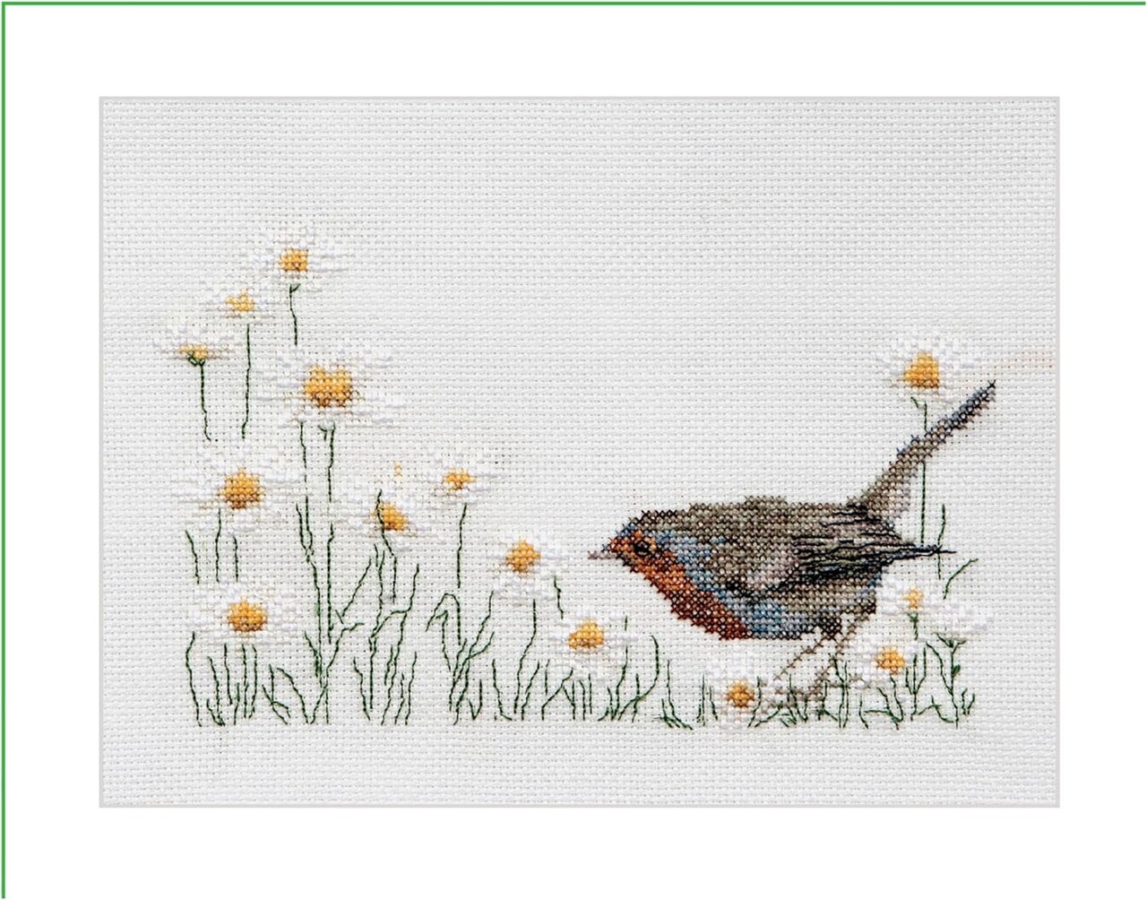 Thea Gouverneur Summer Robin Bird Counted Cross Stitch Kit – 16CT Aida, DMC Threads & Supplies Included, DIY Embroidery for Adults, 7.9×5.9 Inch